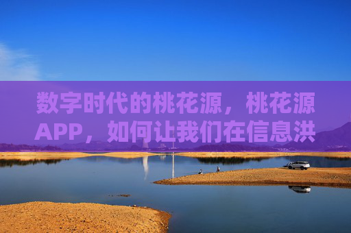 数字时代的桃花源，桃花源APP，如何让我们在信息洪流中重拾内心的宁静与连接