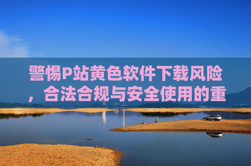 警惕P站黄色软件下载风险，合法合规与安全使用的重要性