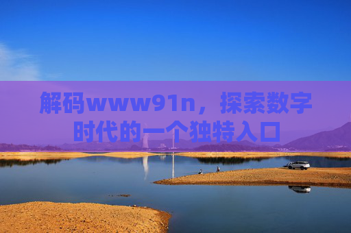 解码www91n，探索数字时代的一个独特入口