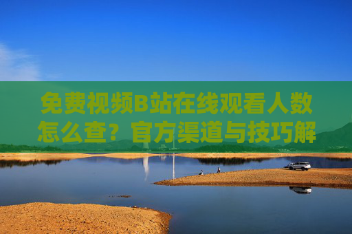 免费视频B站在线观看人数怎么查？官方渠道与技巧解析