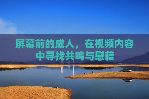 屏幕前的成人，在视频内容中寻找共鸣与慰藉