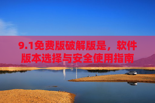 9.1免费版破解版是，软件版本选择与安全使用指南