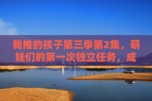 我推的孩子第三季第2集，萌娃们的第一次独立任务，成长与欢笑的交织