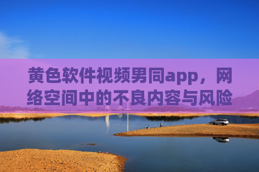 黄色软件视频男同app，网络空间中的不良内容与风险警示