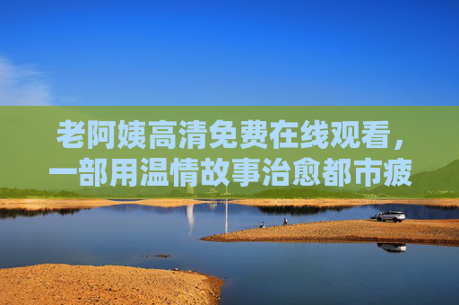 老阿姨高清免费在线观看,一部用温情故事治愈都市疲惫的暖心剧