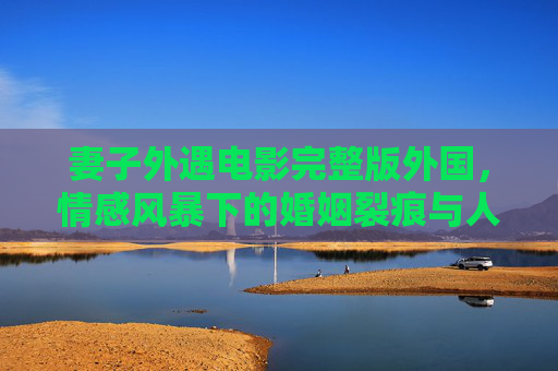 妻子外遇电影完整版外国，情感风暴下的婚姻裂痕与人性拷问