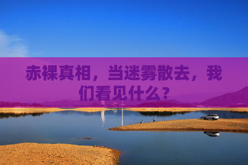 赤裸真相,当迷雾散去,我们看见什么?