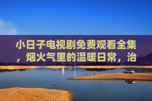 小日子电视剧免费观看全集,烟火气里的温暖日常,治愈系佳作值得反复品味的小日子故事