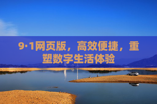 9·1网页版,高效便捷,重塑数字生活体验
