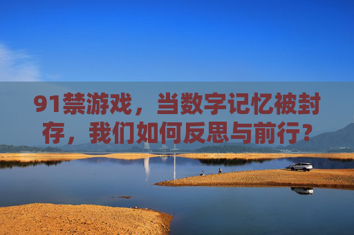 91禁游戏，当数字记忆被封存，我们如何反思与前行？