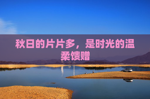 秋日的片片多，是时光的温柔馈赠