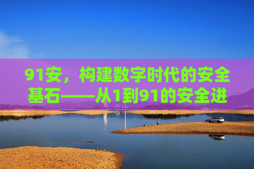 91安，构建数字时代的安全基石——从1到91的安全进化之路