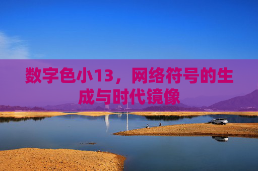 数字色小13，网络符号的生成与时代镜像