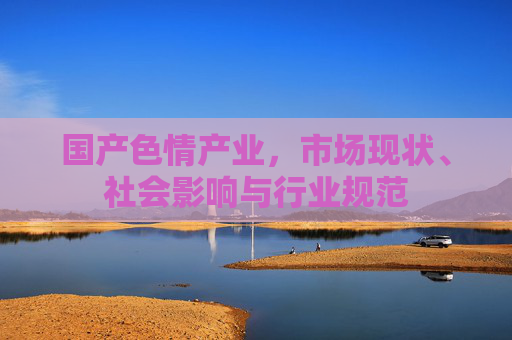 国产色情产业，市场现状、社会影响与行业规范