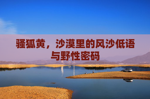 骚狐黄，沙漠里的风沙低语与野性密码