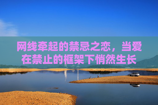 网线牵起的禁忌之恋，当爱在禁止的框架下悄然生长