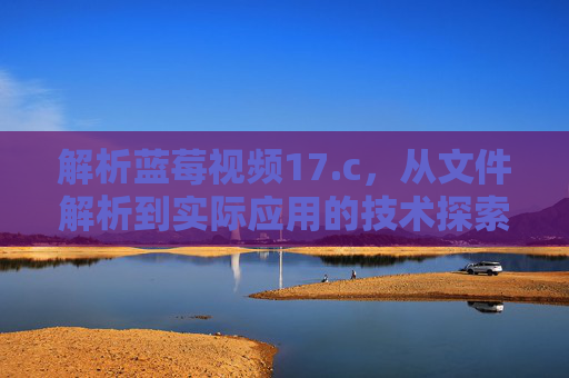 解析蓝莓视频17.c，从文件解析到实际应用的技术探索