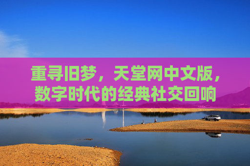 重寻旧梦,天堂网中文版,数字时代的经典社交回响