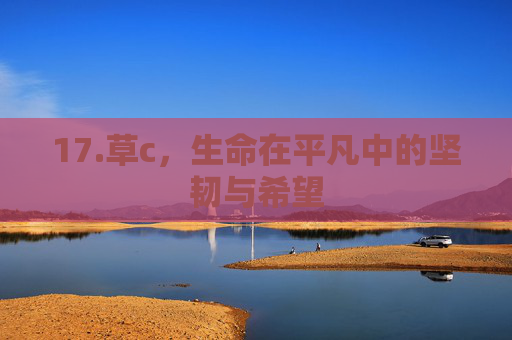 17.草c，生命在平凡中的坚韧与希望