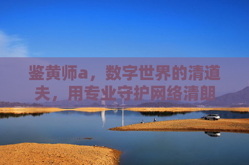 鉴黄师a,数字世界的清道夫,用专业守护网络清朗