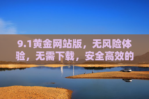 9.1黄金网站版，无风险体验，无需下载，安全高效的操作新选择