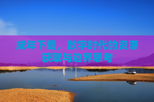 成年下载，数字时代的资源获取与边界思考