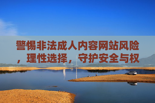 警惕非法成人内容网站风险,理性选择,守护安全与权益