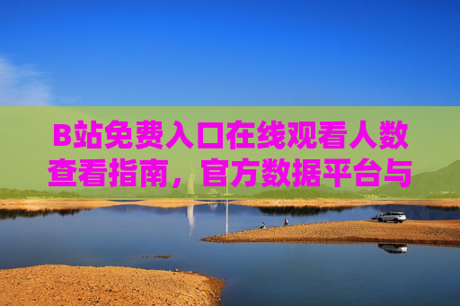 B站免费入口在线观看人数查看指南,官方数据平台与关键指标解析