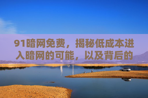 91暗网免费，揭秘低成本进入暗网的可能，以及背后的风险与挑战