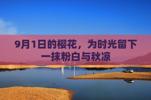 9月1日的樱花，为时光留下一抹粉白与秋凉