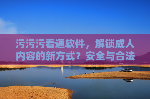 污污污看逼软件,解锁成人内容的新方式?安全与合法性的平衡