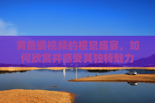 黄色调视频的视觉盛宴，如何欣赏并感受其独特魅力