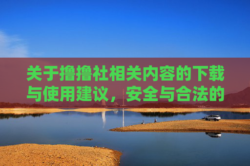 关于撸撸社相关内容的下载与使用建议，安全与合法的路径探索