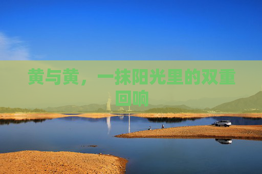 黄与黄，一抹阳光里的双重回响
