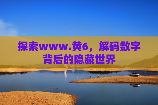 探索www.黄6，解码数字背后的隐藏世界