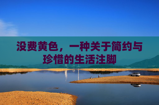 没费黄色，一种关于简约与珍惜的生活注脚