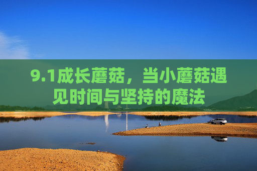 9.1成长蘑菇，当小蘑菇遇见时间与坚持的魔法