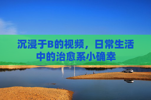 沉浸于B的视频,日常生活中的治愈系小确幸