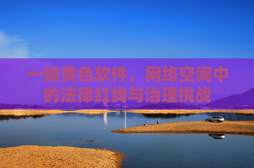 一级黄色软件，网络空间中的法律红线与治理挑战
