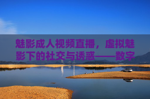 魅影成人视频直播，虚拟魅影下的社交与诱惑——数字时代下的一种复杂镜像