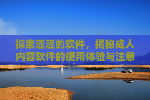 探索涩涩的软件，揭秘成人内容软件的使用体验与注意事项