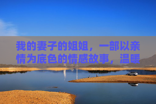 我的妻子的姐姐，一部以亲情为底色的情感故事，温暖治愈人心