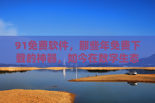 91免费软件，那些年免费下载的神器，如今在数字生态中的传承与演变