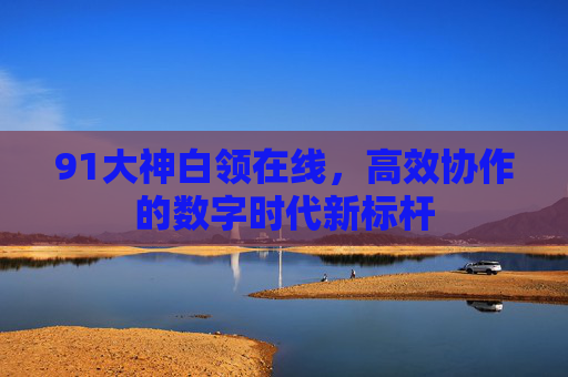 91大神白领在线,高效协作的数字时代新标杆