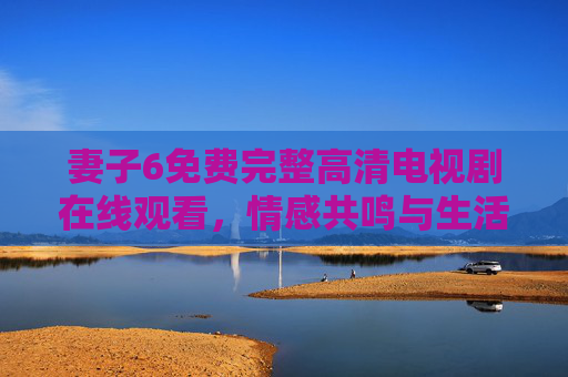 妻子6免费完整高清电视剧在线观看，情感共鸣与生活真实，值得收藏的年度佳作