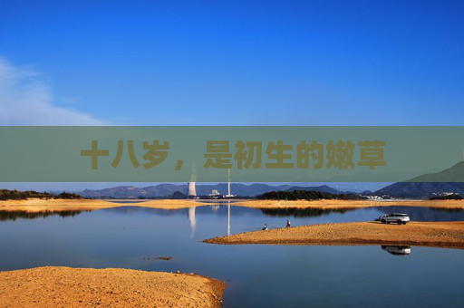 十八岁，是初生的嫩草