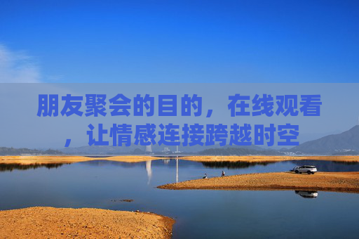 朋友聚会的目的，在线观看，让情感连接跨越时空
