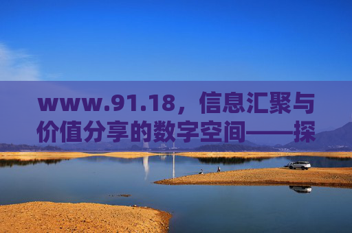 www.91.18,信息汇聚与价值分享的数字空间——探索其独特价值与用户体验