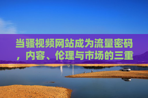 当骚视频网站成为流量密码,内容、伦理与市场的三重博弈