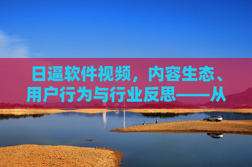 日逼软件视频，内容生态、用户行为与行业反思——从技术到人文的多维审视